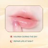 O'CHEAL Lot Waterproof Long Lasting Lip Makeup Gloss Lip Balm Long Lasting Moisturizing Lipstick Anti Aging Repair Lips Maskand Retinol Complex oz 3 Count,0.03 Oz,(Pack of 3)
