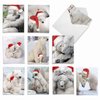 The Best Card Company Variety Pack of 10 Christmas Greeting Cards with Envelopes, Humor Holiday Assortment for Men and Women (10 Designs, 1 Each) - Bear Hugs AM6327XSG-B1x10