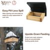 Nature's Way Bird Products CWF2 Cedar wood Suet Upside-Down Bird Feeder, 8.5"L x 8.5"W x 4.13"H, Black