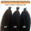 Springy Afro Twist Hair Color 2 Darke Brown Kinky Braiding Hair Extensions for Passion Twist Hair #2 Spring Twist Hair for Soft Locs 16 Inch 3 Packs Marley Twist Braiding Hair