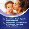 Florastor Baby Daily Probiotic Supplement, Powder Mixes with Milk, Formula or Soft Foods, Saccharomyces Boulardii CNCM I-745 (18 Powder Sticks)