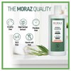 Moraz Herbal Shampoo for Normal to Oily Hair – Bay Laurel & Rosemary Shampoo for Women –Paraben & SLS Free Clarifying Shampoo for Build Up – Oil Control Shampoo for Shine and Volume, 17 Fl Oz