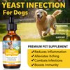Yeast Infection Treatment for Dogs, Natural Yeast Infection Treatment Drops for Dog Itch Relief, Dog Allergy Relief, Dog Yeast Ear Infection Treatment, 2.02fl.oz