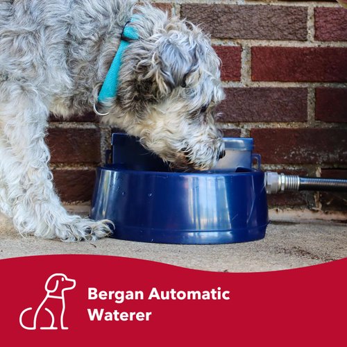 Coastal Pet Bergan Auto-Wata - Outdoor Dog & Cat Water Dispenser - Automatic Water Bowl for Pets - Made from Durable, BPA-Free Plastic - Self-Watering Cat & Dog Bowl - Navy, 48 Ounces