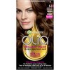 Garnier Olia Ammonia-Free Brilliant Color Oil-Rich Permanent Hair Color, 5.3 Medium Golden Brown (Pack of 1) Brown Hair Dye (Packaging May Vary)