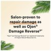 Suave Professionals Coconut Oil Infusion Damage Repair Conditioner, 28 oz