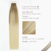 LacerHair BalayageTape in Hair Extensions Human Hair Double Side Tape Seamless Skin Weft Ombre Light Brown to Platinum Blonde B#8/60 50 Grams 20Pcs 14 Inch