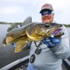 Northland Tackle Tungsten Stand Up Jig Heads, 2 Packs, Walleye, 3/8 Oz Size for Walleye, Bass, & Crappie