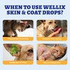 Wellix 120ml Yeast Infection Treatment for Dogs & Cats - Supports Itch,Allergy,Inflammation Relief & Immune Health - Natural Dog Ear Yeast Infection Treatment - Salmon Flavor