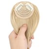 Cephermer Clip in Bangs, Synthetic Bangs Hair Clip Ash blonde mix Bleach Blonde