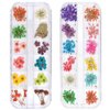 TEOYALL 24 Colors Dried Flowers for Nail Art, 2 Boxes 3D Dry Flowers Nail Stickers Colorful Natural Real Flower Nail Decals