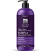 VANIDOX Sulfate Free Purple Shampoo for Grey and Silver Hair, Brass Toning Purple Shampoo Infused with Purple Pigment, Purple Shampoo for Gray Hair for Women (16 fl oz)