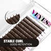 VEYES INC Colored Lash Extensions 03 05 07 15 C/D Curl 8-16mm Mixed Length Tray, Premium Individual Silk Eyelashes, Professional Supplies for Lash Techs (Dark Latte Brown 0.05 CC 8-16mm)