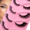 Fox Eye Lashes Wispy Eyelashes 18mm Cat-Eye Lashes Angel Wing Lashes Faux Mink False Eyelashes Natural Look 5 Pairs pack(XF05)