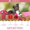 SoSoCute Pink Dog Gift Box - Puppy Chew Toy Set of 5 - Puppy Care Package with Dog Blanket, Squeaky Plush, Rubber Puppy Teether, Teething Ball, and Treat Ball for Small and Medium Dogs