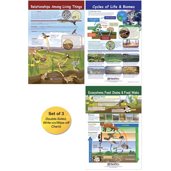 NewPath Learning Ecology Bulletin Board Charts, Set/3 - Laminated, Double-Sided, Full-Color, 12" x 18" (94-7007)