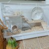 CAREUPET Wooden Platform with Ladder, Pet Activity Structure, Bird, Chinchilla, Guinea Pig, Hamster, Rat Cage Accessories