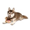 Midlee Reindeer Sugar Cookie Dog Toy (Small)