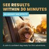 VetriScience Calm & Confident Chews, Composure Clinically Tested Calming Supplement for Dogs, Reduce Stress & Fear, Ideal for Thunderstorms, Fireworks & Travel, Chicken, 120 Count - New Look