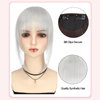 VANANGA French Hair Bangs Clip on, Silver Grey Long Wispy Bangs Hair Clip with Temples Natural Fringe Neat Bangs Hair Clip Hair Piece Long Bangs Clip in Hair Extensions for Women(Silver Grey)