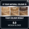 Garnier Olia Ammonia Free Permanent Hair Color, 100% Gray Coverage (Packaging May Vary), 8.0 Medium Blonde, Pack of 1