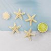 FEINIGESI 4 Pcs Starfish Hair Clip Mermaid Costume Accessories for Women and Girls Resin Sea Star Hairpins Seashell Clips Accessories for Mermaid Halloween Beach Costume