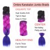 Themis Hair Ombre Braiding Hair 24 Inch Ombre Jumbo Braiding Hair 3 Packs Ombre Kanekalon Synthetic Braiding Hair Extensions for Braiding.(3 Packs,Black-Purple-Blue)