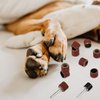22 Pet Nail Grinder Replacement Kit with Grit Sanding Bands Pet Nail Smoother Dog Claw Care Black Grinding Drums Dog Nail Grinder Replacement Dog Claw Grooming Supplies (1/2 Inch 60 Grit and 100 Grit)