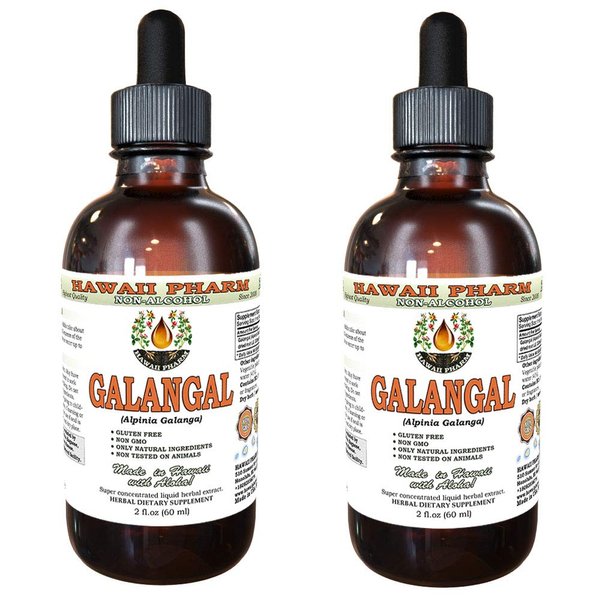 Hawaii Pharm Galangal Root Alcohol-FREE Liquid Extract, Organic Organic Galangal (Alpinia Galangal) Dried Root Glycerite Natural Herbal Supplement 2x2 oz