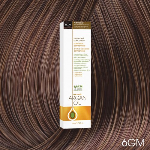 One N' Only Permanent Hair Color - Permanent Hair Dye Made with Argan Oil - Delivers Rich, Accurate Tones with Gray Coverage - Improves Moisture & Elasticity - 6GM Dark Caramel Mocha Blonde (3 oz)