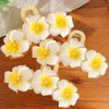 3 PCS Hawaiian Flower Hair Clips Plumeria Hair Clip Hibiscus Flower Hair Clips for Women Girls Thick Thin Hair Beach Hair Accessories Non Slip Strong Hold Hair Catch Clamp Barrettes