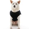 Gooby Fashion Vest Dog Jacket - Black, X-Small - Warm Zip Up Dog Bomber Vest with Dual D Ring Leash - Winter Water Resistant Small Dog Sweater - Dog Clothes for Small Dogs Boy or Medium Dogs