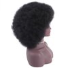 PWEOUKE 16 Inch Afro Wigs for Black Women Natural Black 70's Afro Curly Wigs Synthetic Soft Natural Looking Full Wigs for Unisex