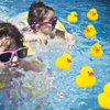 Kalafona Rubber Yellow Ducks/ Ducky No Hole Waterproof No Squeak Bath/Pool/Water Float Toy Stuffed with Sealed Plug Without Hole for Kids in Bulk