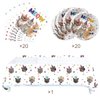 Cat Party Supplies Tableware ,20 Plates and 20 Napkins and Tablecloth71 '' x 42 '',Kids Cat Birthday Theme Party Decorate Supplies