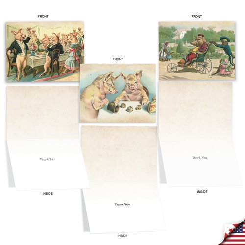 The Best Card Company - 10 Thank You Assortment Note Cards w/Envelopes, Assorted Set of Thank You Cards4 x 5.12 inch - Hog HumorM2346TYG