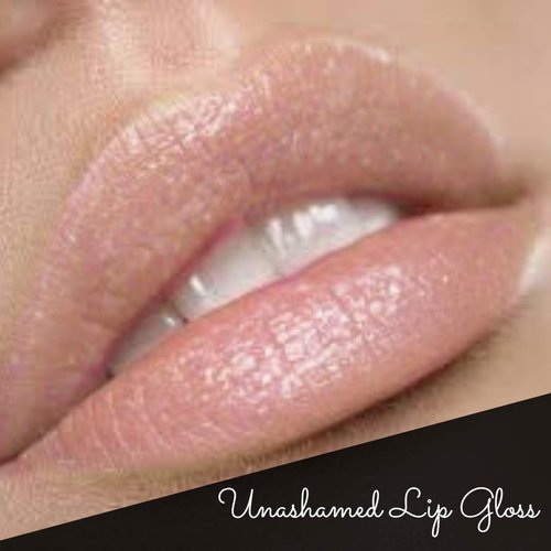 By The Clique Premium Nude Lip Gloss | Unashamed…
