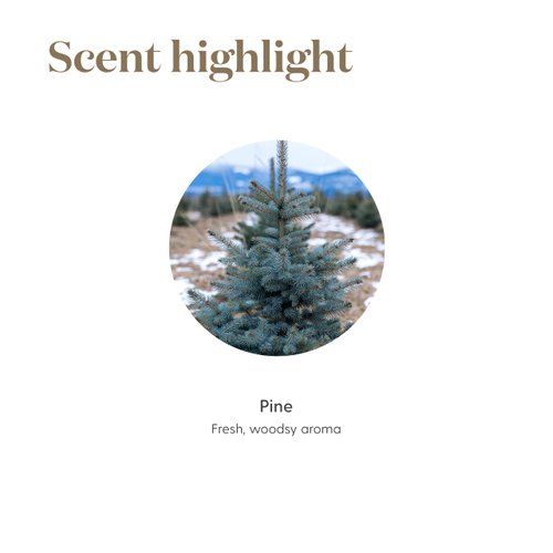 Pine Essential Oil 5ml by Young Living Essential Oils - Uplifting aroma - Refreshing Breathing Experience - Repels the Influence of Negative Energy - Essential Oil Diffusers