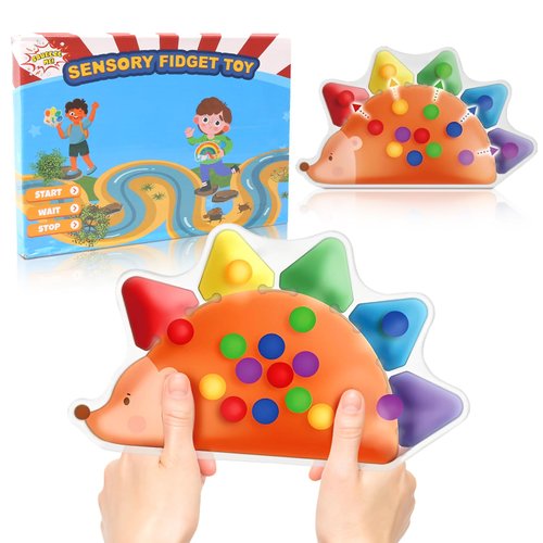 HAKOTOM Color Sorting Toys Sensory Toys, Fine Motor Skills Game for Toddlers, Travel Color Matching Toys, Preschool Learning Activities, Montessori Calm Down Toys for Kids Boys Girls Ages 3+ Gifts