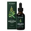 Betterbrand Mullein Drops for Lungs – Mullein Leaf Extract with Chlorophyll Liquid – Respiratory Support, Lung Detox Formula & Chlorophyll Drops – Natural Herbal Tincture, 1 Month Supply