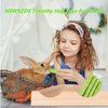 NSWXZDS 48PCS Rabbit Toys, Bunny Chews Timothy Hay Stick Guinea Pig Food, Hamster Toys for Teeth Grinding, Rabbit Alfalfa Treat, Rodent Molar Snack for Chinchilla Squirrel Gerbil Hedgehog Chipmunk