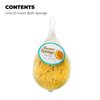 Jacent Deep Cleaning Sea Foam Bath and Body Sponge, 1-Pack