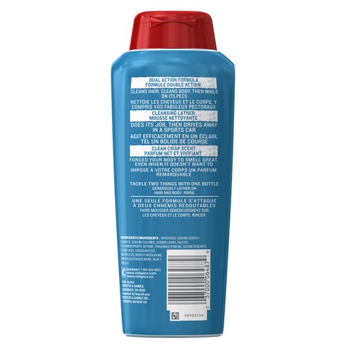 Body Wash for Men by Old Spice, High Endurance Men's Hair and Body Wash, 18 Fluid Ounce