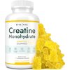 Sugar-Free Creatine Monohydrate Gummies (1g/gummy for Intake Control) Potent Creatine Gummies for Men & Women, Creatine Supplement for Muscle Support, Cellular Energy & Cognitive Function, Gluten-Free
