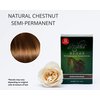 Reshma Beauty 30 Minute Henna Hair Color | Infused with Natural Herbs, For Soft Shiny Hair | Henna Hair Color/Dye, 100% Gray Coverage | Semi Permanent | Ayurveda Hair Products (Chestnut, Pack Of 12)