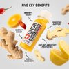 +GNGR Energy Booster & Immunity Shot, Cold-Pressed Ginger Shots with Lions Mane, 75mg of Natural Caffeine Green Tea, Turmeric Root, Vitamin D & Zinc for All Natural Immune Support (2 Oz, Pack of 12)