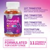 Prenatal Vitamins for Women with Folic Acid 1335mcg, Fetal Support Prenatal Multivitamin and Mineral Gummy, Vitamin A, C, D3, B12, B6 & Folate for Pregnant & Nursing Women - 120 Gummies, 60 Day Supply