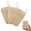 Natural Loofah Sponge Exfoliating Body Scrubber (3 Pack),Loofah Dish Sponge, Natural compostable loofah Plant, Shower Scrub, Remove Dead Skin loofah, Durable, Beige