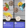 Bissap 6PCS Small Parrot Chew Toys, Sola Balls Parrot Chewing Foraging Toys Colorful Bird Foot Balls for Cockatiels Conures Cockatoos Parakeets Love Birds Small Parrot Cage Bite Toys