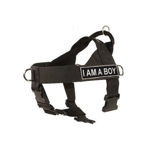 DT Universal No Pull Dog Harness, I Am A Boy, Black, X-Small, Fits Girth Size: 21-Inch to 25-Inch